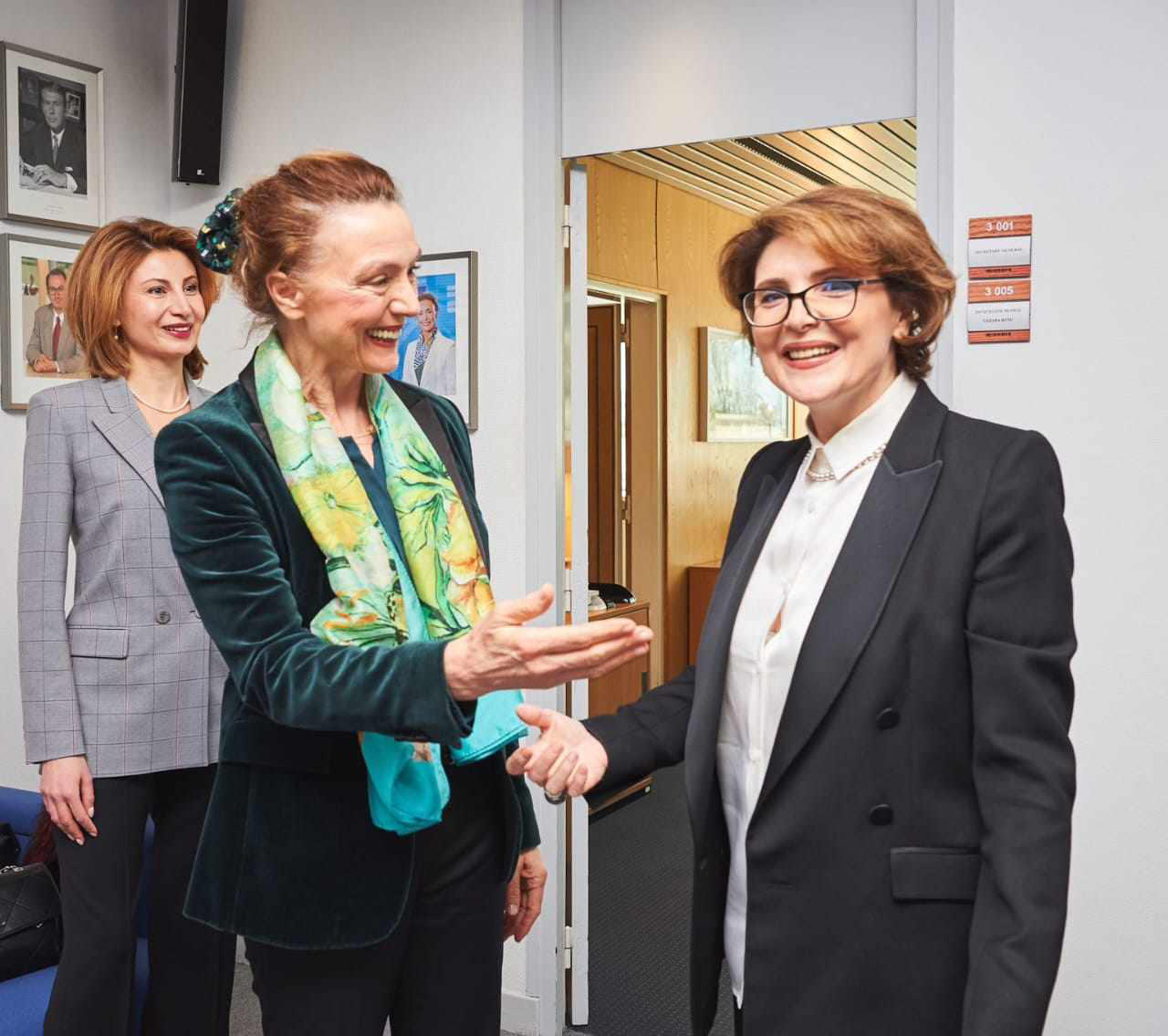 ელისო ბოლქვაძე სტრასბურგში ევროპის საბჭოს გენერალურ მდივანს შეხვდა