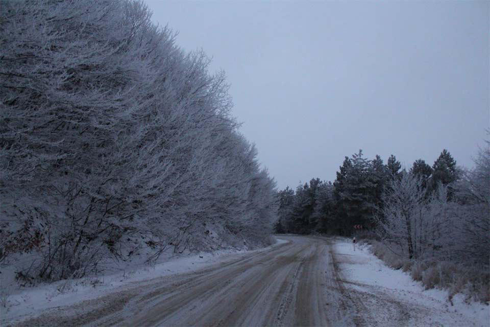 ნიჩბისი-დიდგორი-დიდი თონეთის გზაზე ავტოტრანსპორტის მოძრაობა აკრძალულია