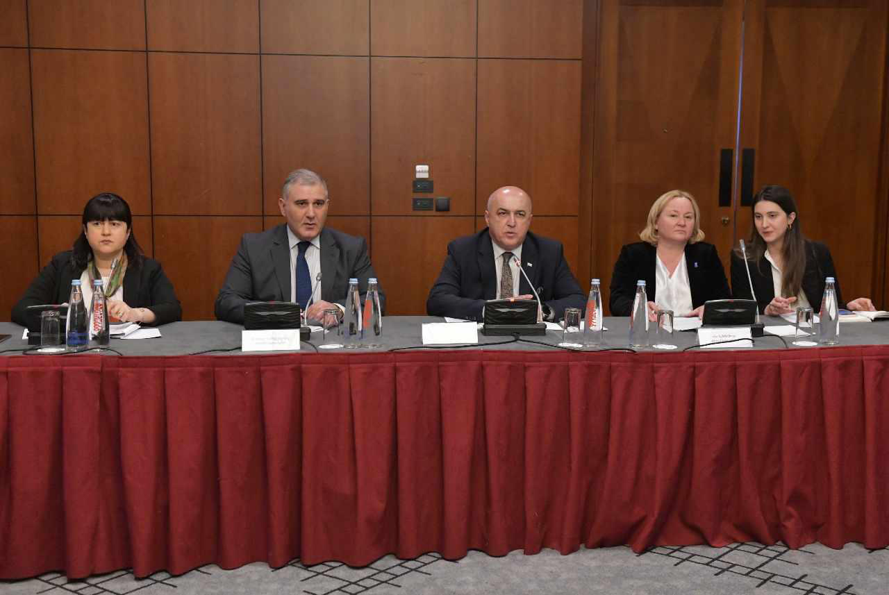 ჯანმრთელობის დაცვისა და სოციალურ საკითხთა კომიტეტმა ჰოსპიტალური სერვისების დაფინანსების რეფორმასთან დაკავშირებით შეხვედრა გამართა