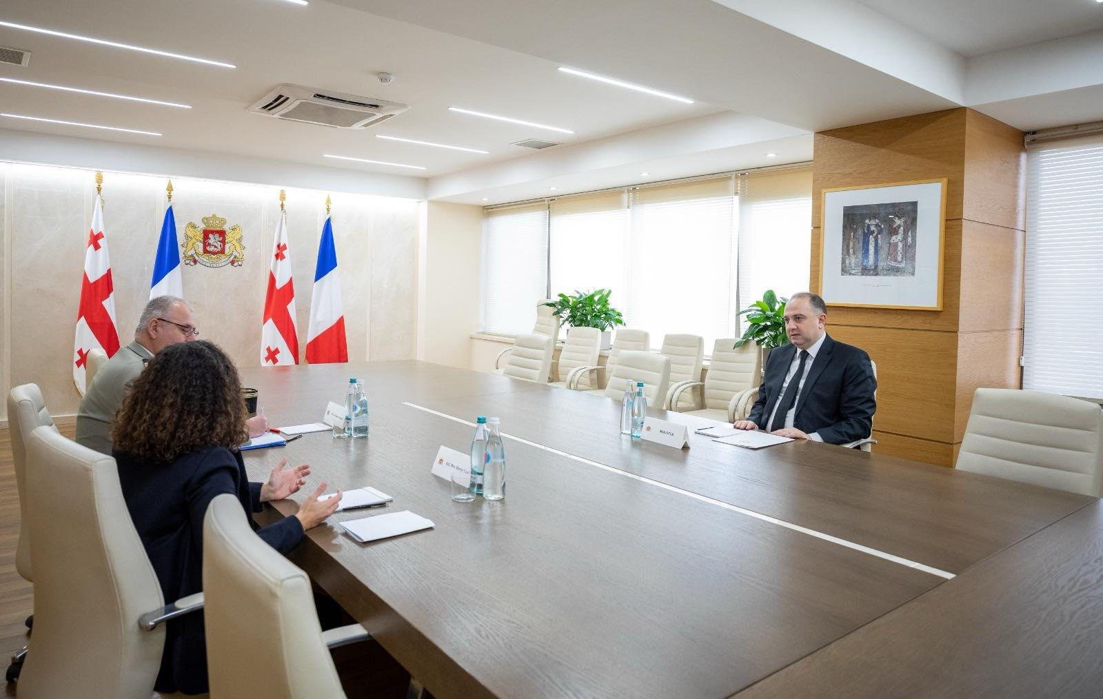 თავდაცვის მინისტრი საფრანგეთის ელჩს შეხვდა