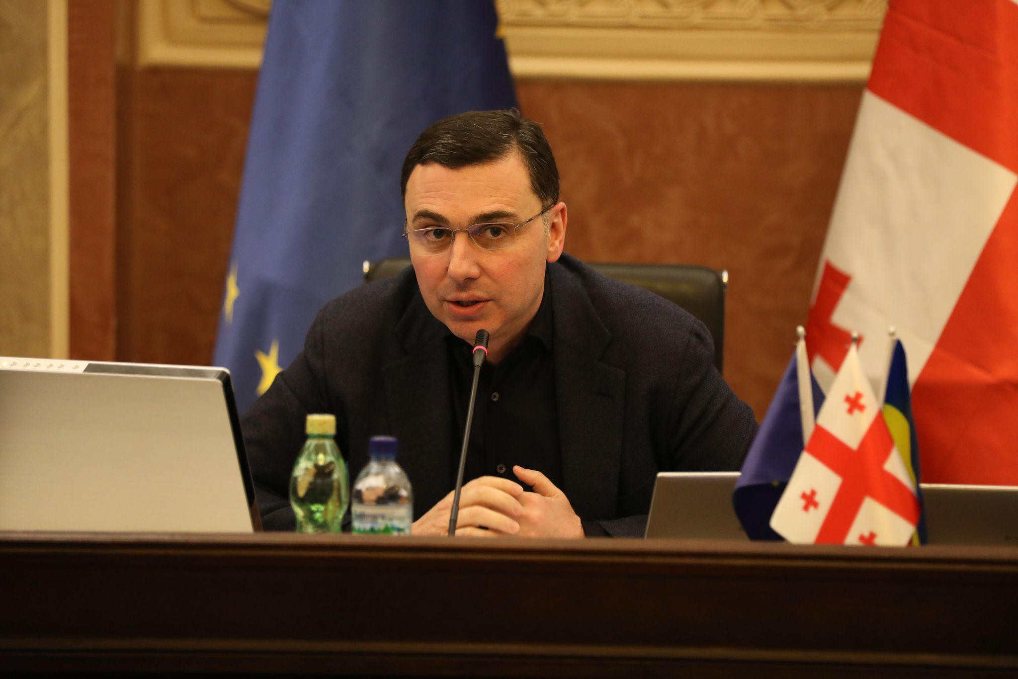 გიორგი ტყემალაძე ოპოზიციას - მე მესმის, რომ ეს თქვენთვის დიდი ცდუნებაა, მაგრამ შეეცადეთ, ყველა საკითხი პოლიტიკას არ დაუკავშიროთ