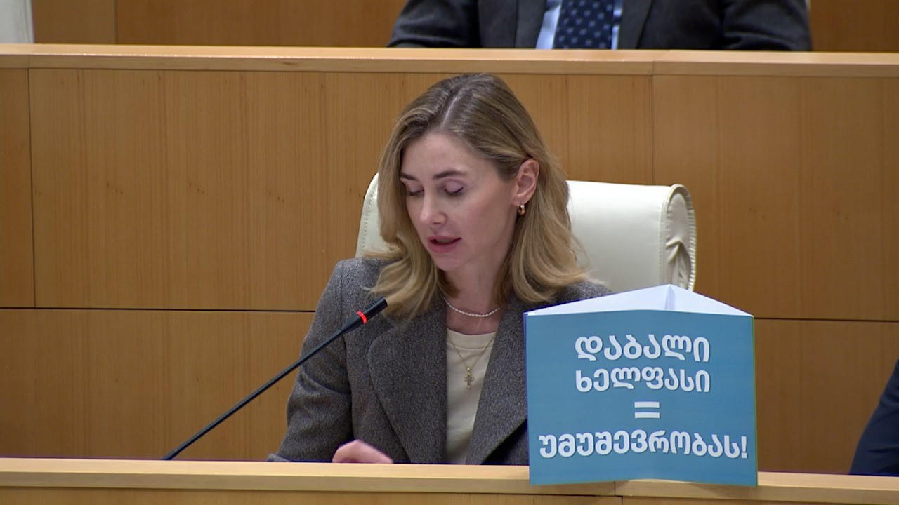 თინა ბოკუჩავა - როგორ უნდა იცხოვროს ოჯახმა ან თუნდაც ერთმა ადამიანმა 300 ან 600 ლარიანი ხელფასით? - ივანიშვილის ჩინოვნიკები მდიდრდებიან, ხალხს კი ურცხვად უმტკიცებენ, რომ 300-ლარიანი ხელფასით უნდა დაკმაყოფილდნენ