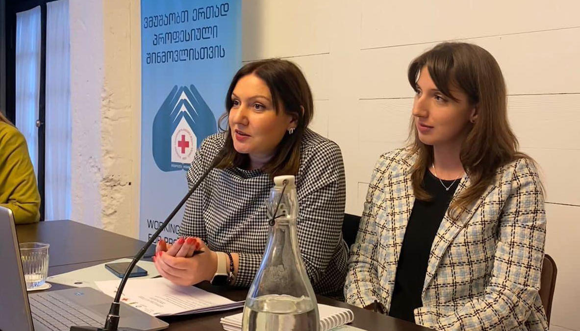 საქართველოს წითელი ჯვრის საზოგადოების ორგანიზებით, შინმოვლის მომსახურების განვითარების ხელშეწყობის სამუშაო ჯგუფის შეხვედრა გაიმართა