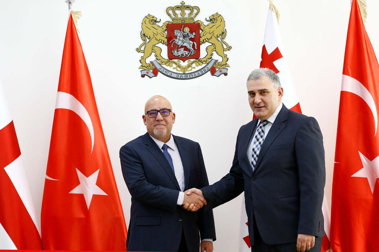 მიხეილ სარჯველაძე საქართველოში თურქეთის ელჩს შეხვდა