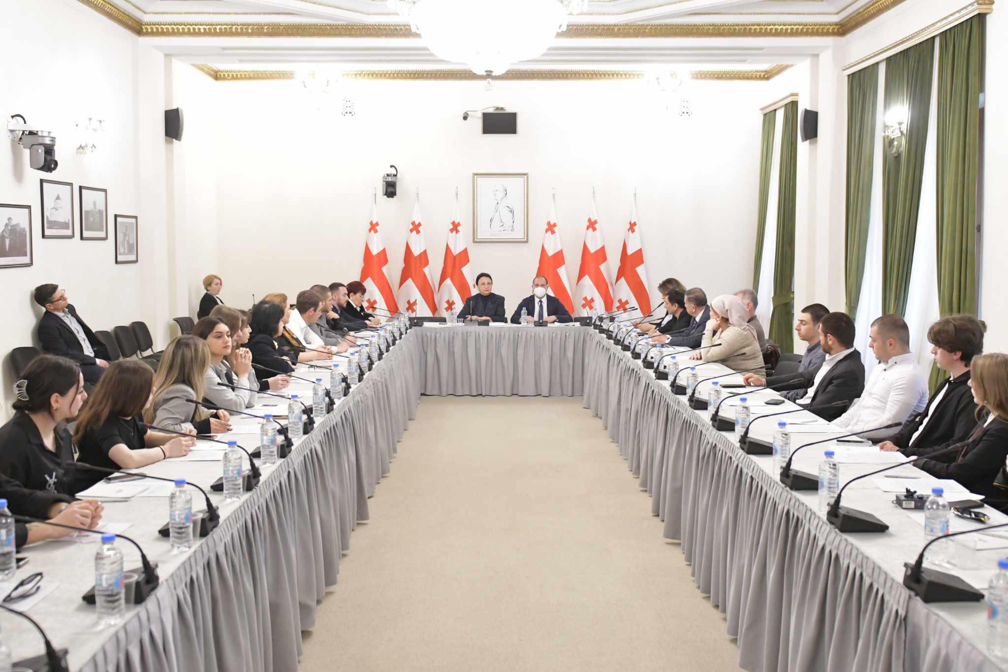 გივი მიქანაძე და რიმა ბერაძე სამოქალაქო სექტორის წარმომადგენლებს შეხვდნენ