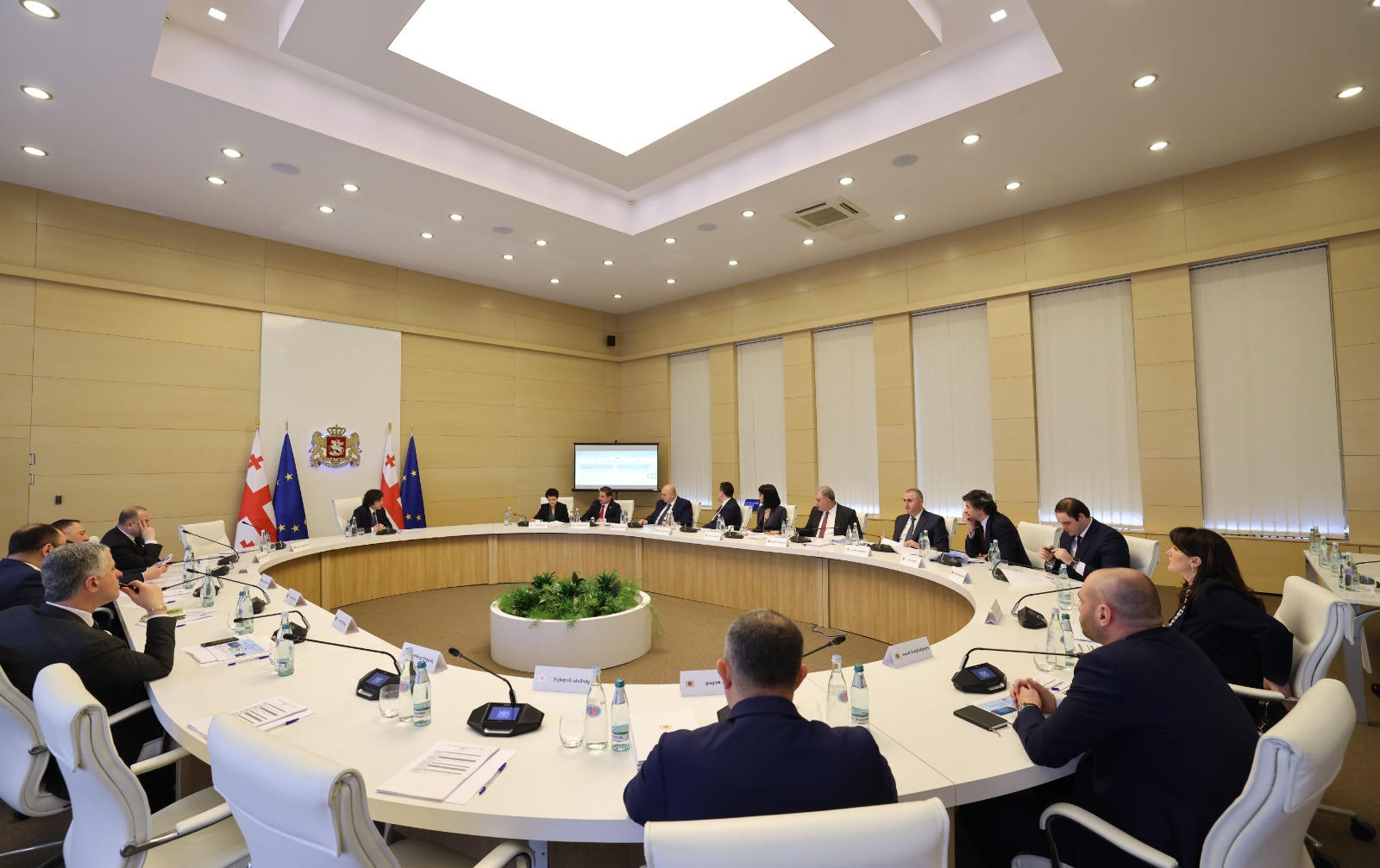 საქართველოს მოსახლეობის და სასოფლო-სამეურნეო აღწერის საკოორდინაციო სამთავრობო კომისიამ მოსახლეობის და სასოფლო-სამეურნეო აღწერის პროგრამის განახლებული პროექტი დაამტკიცა