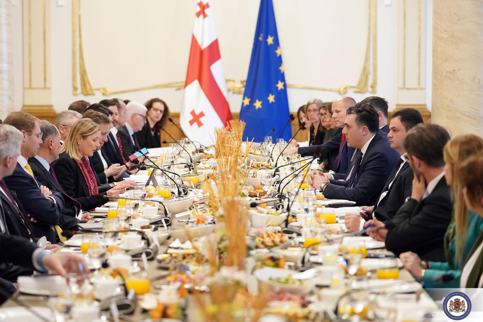 ილია დარჩიაშვილი ევროკავშირის საბჭოს პოლიტიკური და უსაფრთხოების კომიტეტის წევრ ელჩებს შეხვდა