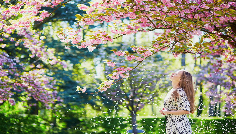 იგრძენი გაზაფხული – იცხოვრეთ ალერგიის გარეშე