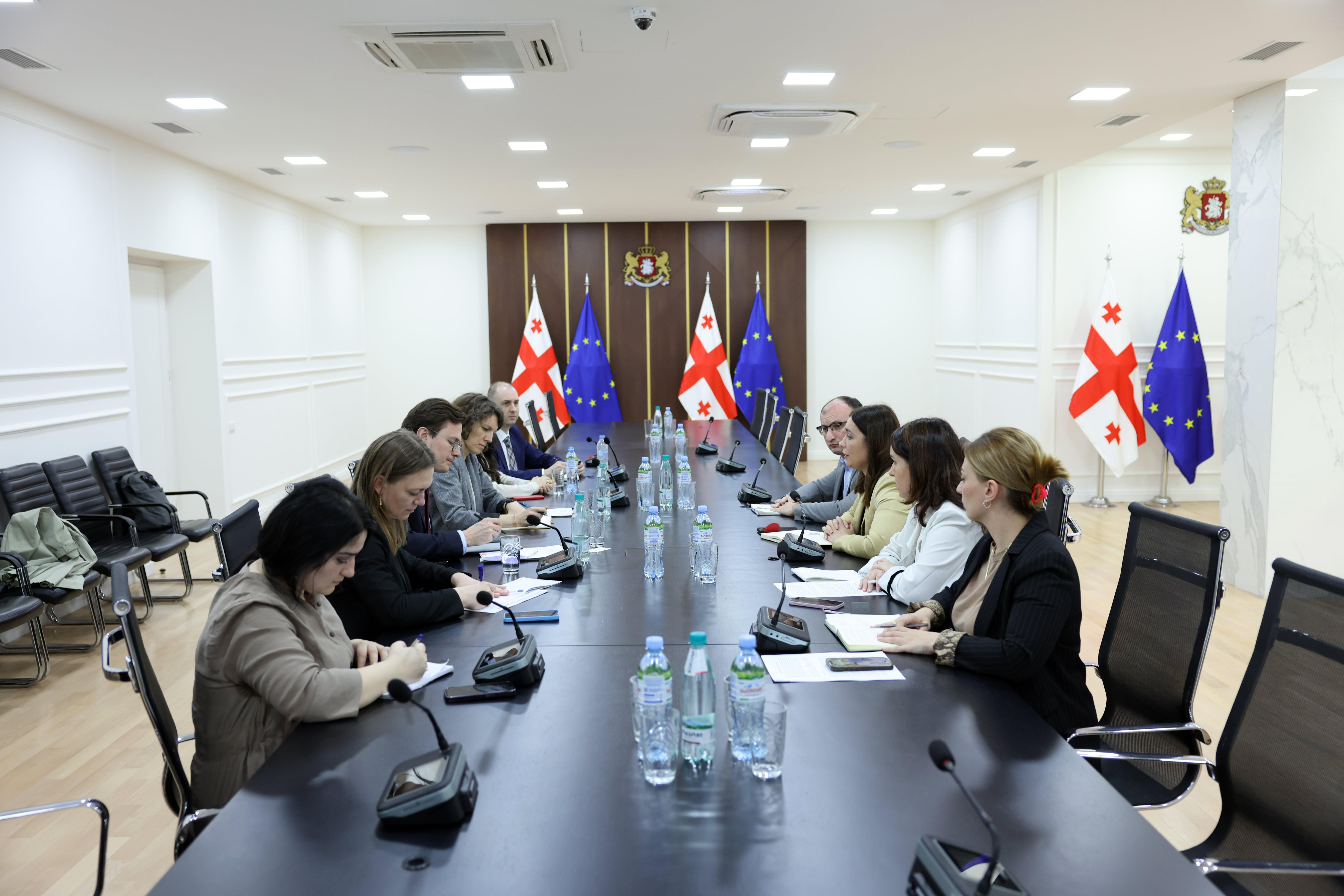 ნინო თანდილაშვილი ენერგეტიკული გაერთიანების ევროპის მწვანე შეთანხმების განყოფილების ხელმძღვანელს ადამ ცვეჩს შეხვდა