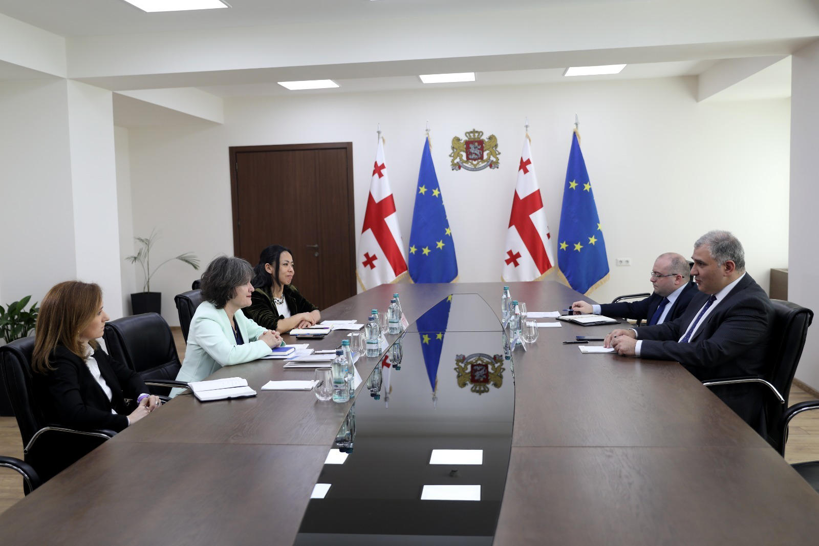 მიხეილ სარჯველაძე გაერო-ს ლტოლვილთა უმაღლესი კომისარიატის მისიის ხელმძღვანელს შეხვდა