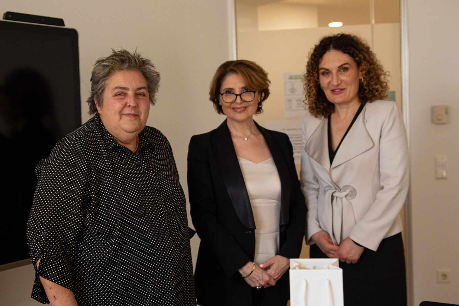 ელისო ბოლქვაძე ავსტრიის პარლამენტის კულტურის კომიტეტის თავმჯდომარეს შეხვდა
