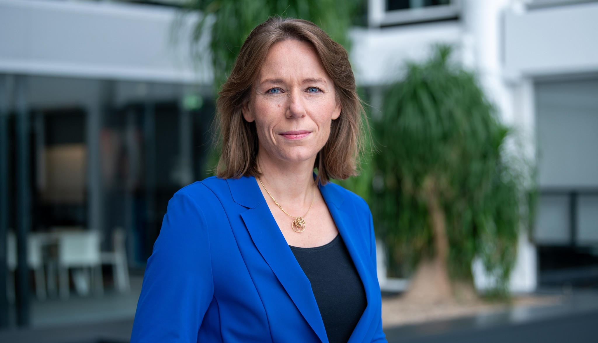 ნიდერლანდების საგარეო საქმეთა მინისტრი - „უცხოური გავლენის გამჭვირვალობის შესახებ“ კანონპროექტი ევროკავშირის სტანდარტებს არ ასახავს