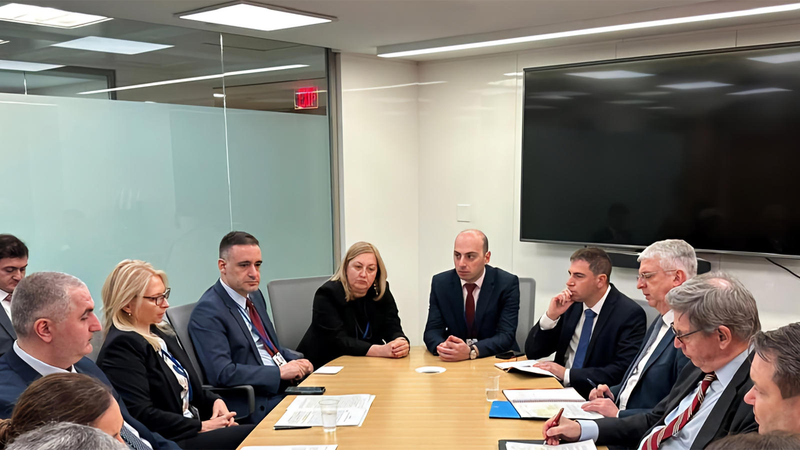 ნათია თურნავა სსფ-ის აღმასრულებელ დირექტორს პოლ ჰილბერს შეხვდა