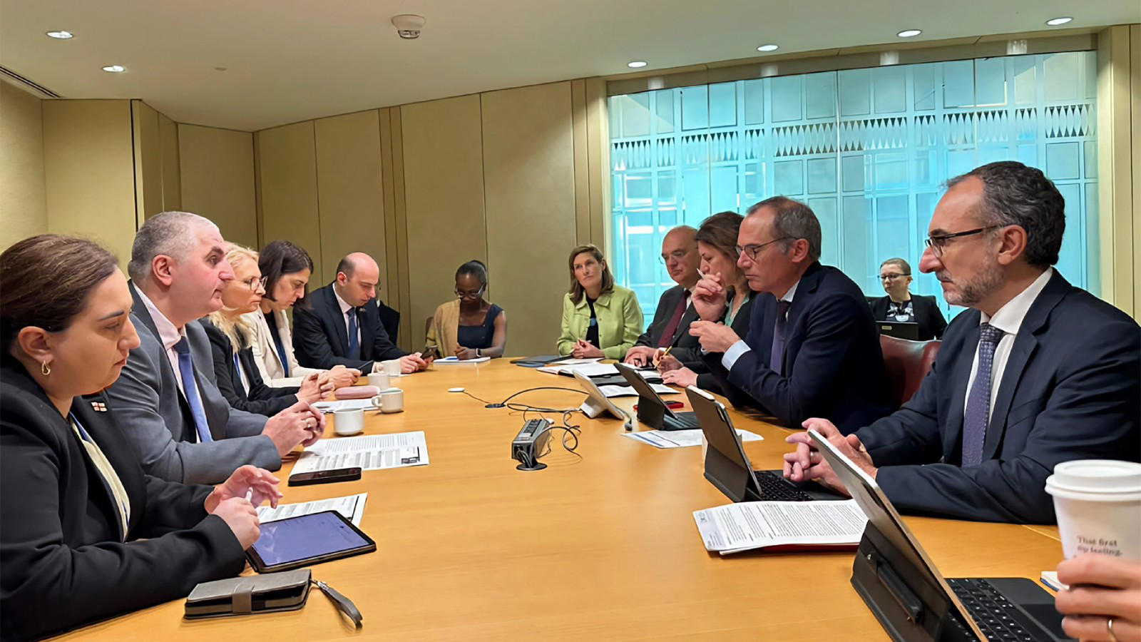 ნათია თურნავა IFC-ის ვიცე-პრეზიდენტს შეხვდა