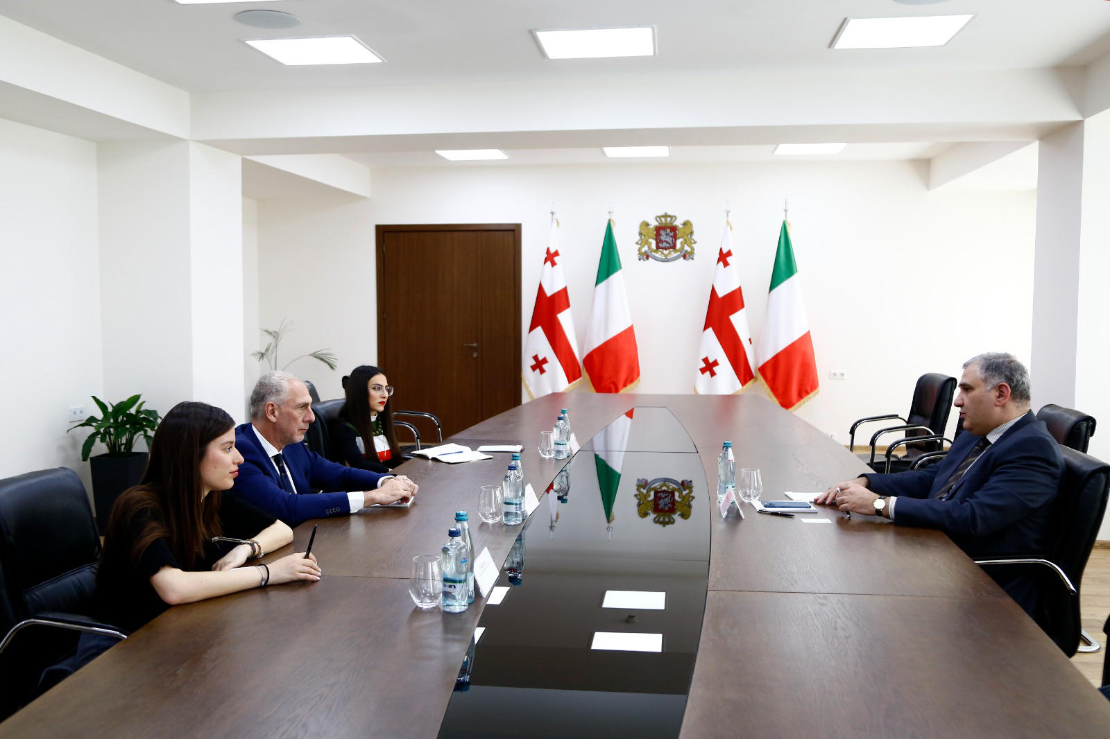 მიხეილ სარჯველაძე იტალიის ელჩს შეხვდა