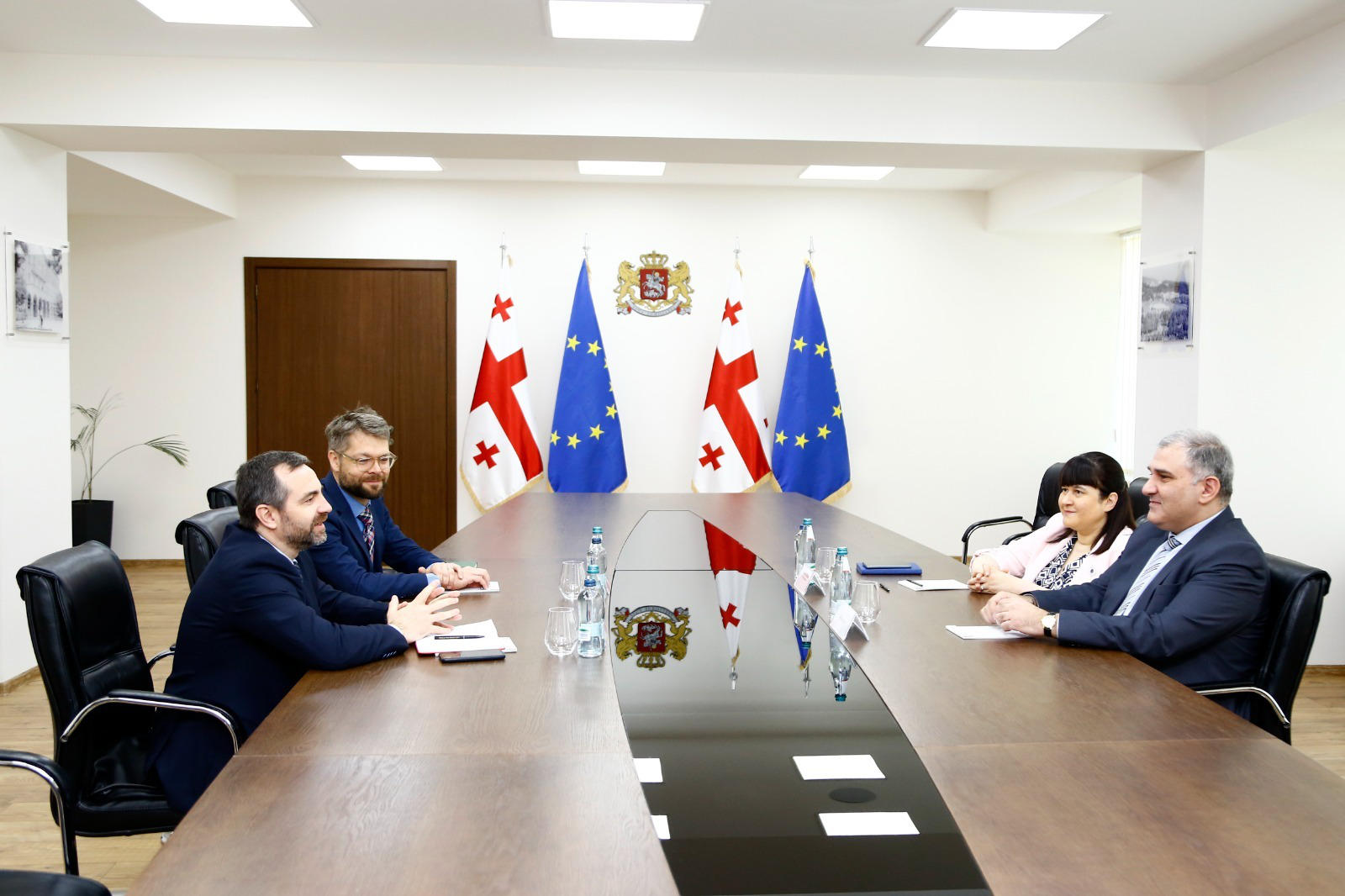 მიხეილ სარჯველაძე ჯანმრთელობის მსოფლიო ორგანიზაციის საქართველოს ოფისის ხელმძღვანელ  სილვიუ დომენტეს შეხვდა