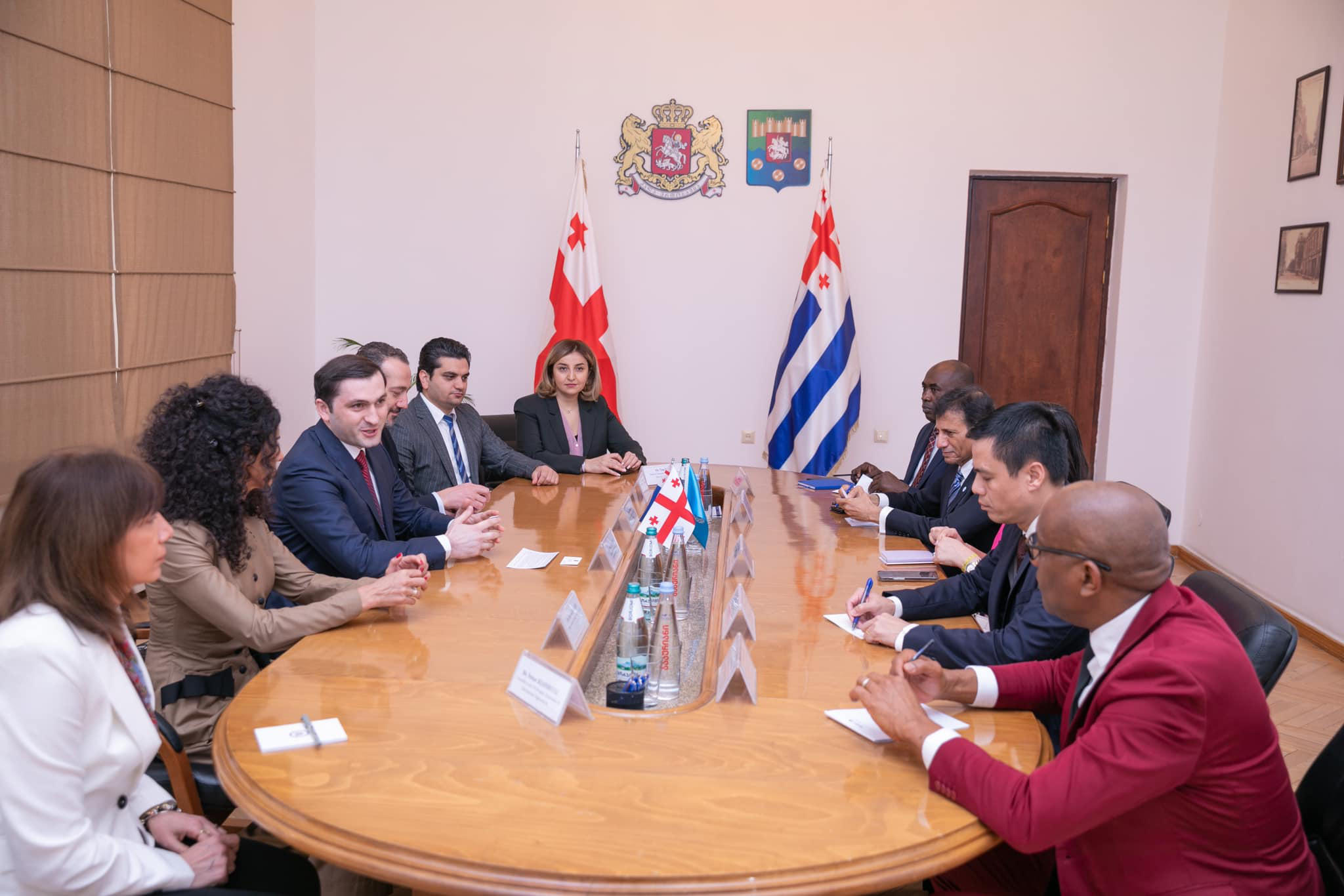 თორნიკე რიჟვაძე გაერო-ში სხვადასხვა ქვეყნის მუდმივ წარმომადგენლებს შეხვდა