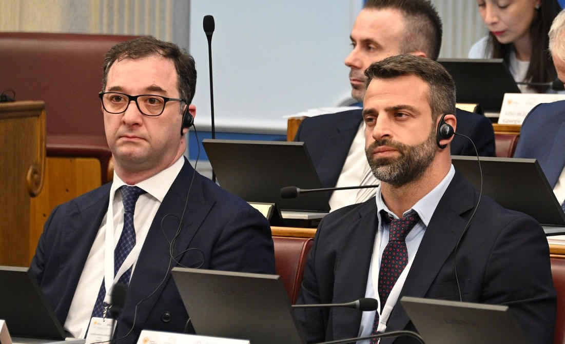 დავით სონღულაშვილმა ფრანკოფონიის საპარლამენტო ასამბლეის საპარლამენტო საქმეთა კომიტეტის სხდომაში მიიღო მონაწილეობა
