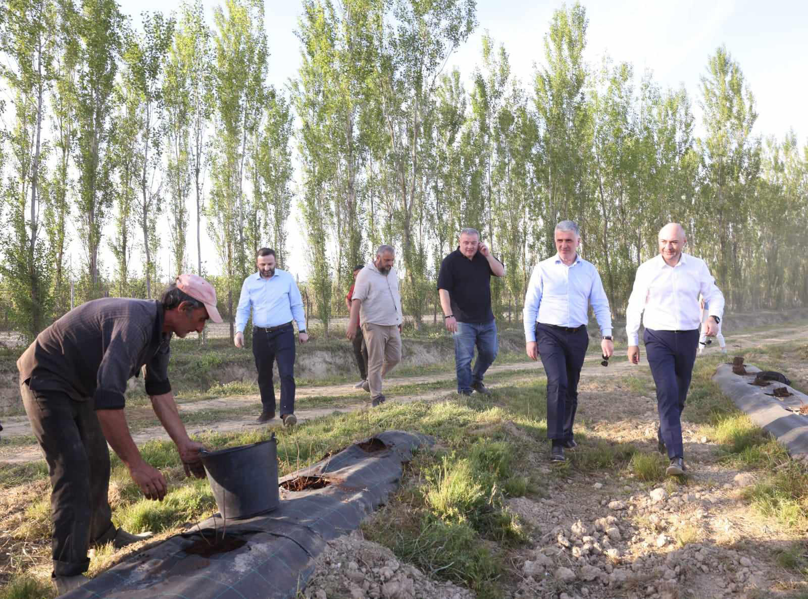 ოთარ შამუგია აბაშის მუნიციპალიტეტის სოფელ სეფიეთში მოცვის დარგვის პროცესში მონაწილეობდა