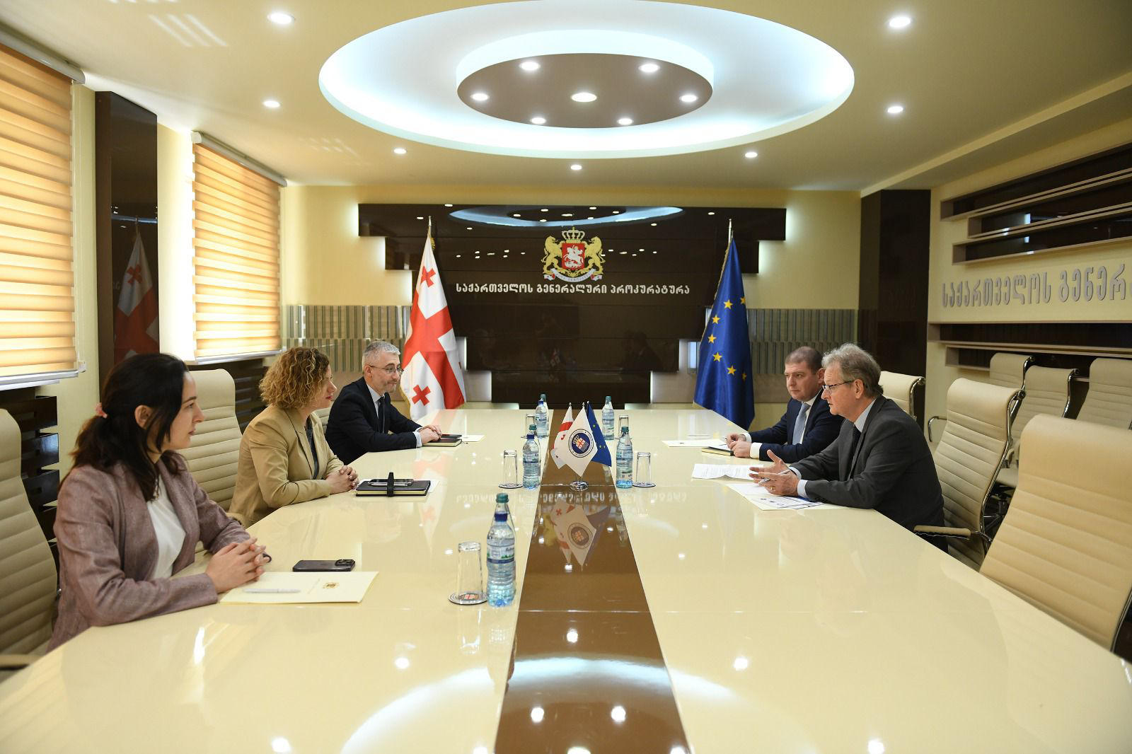 გენერალური პროკურორის მოადგილემ ნათია მერებაშვილმა ევროპის საბჭოს პროგრამების კოორდინაციის დეპარტამენტის უფროსთან შეხვედრა გამართა