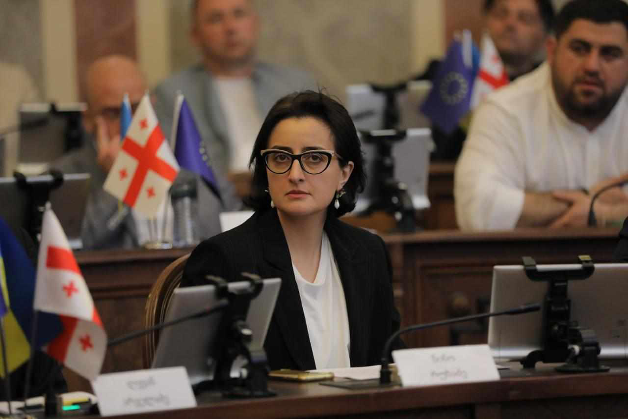 ნინო რუხაძე - ქართული კანონპროექტის ანალოგიური კანონი  საერთო სამართლის წამყვან ქვეყნებში მოქმედებს