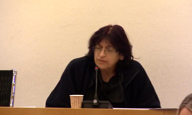 ნინო ჩხობაძე - საქართველოს დამოუკიდებლობის ისტორიაში პირველად “დასმენის“ დაკანონებას ვცდილობთ