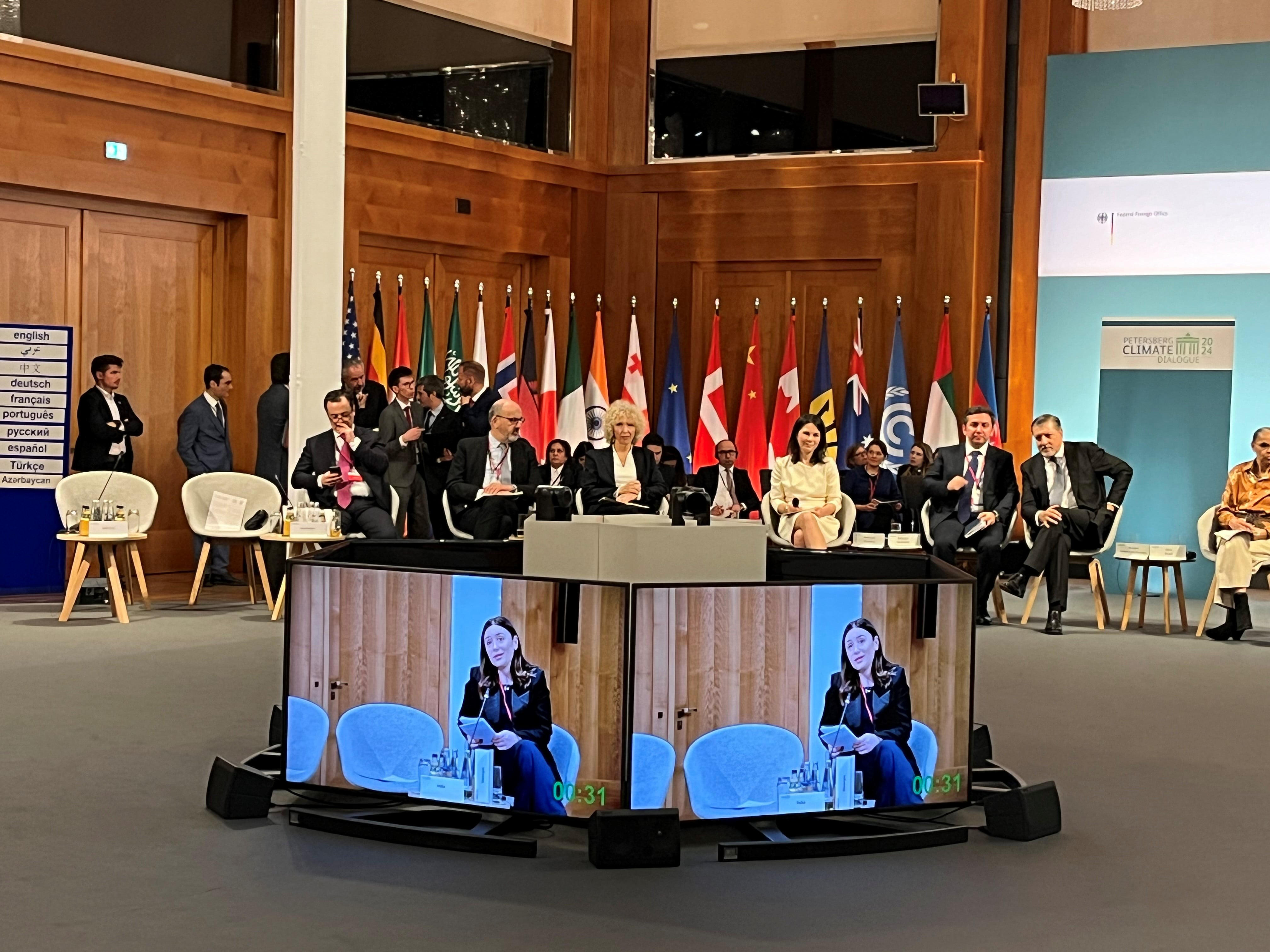 საქართველოს გარემოს დაცვისა და სოფლის მეურნეობის მინისტრის პირველი მოადგილე პეტერსბერგის მე-15 კლიმატის დიალოგში (Petersberg Climate Dialogue) სიტყვით გამოვიდა