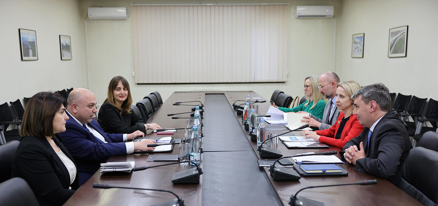 ირაკლი ქარსელაძე ევროპის საინვესტიციო ბანკის ვიცე-პრეზიდენტს შეხვდა