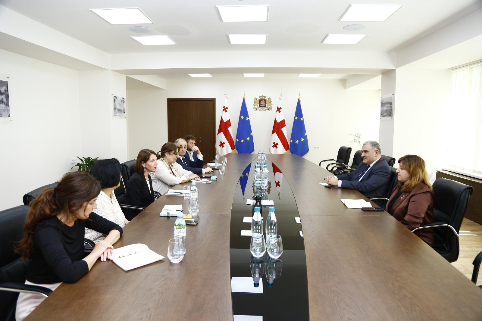 მიხეილ სარჯველაძე აშშ-ის საერთაშორისო განვითარების სააგენტოს (USAID) წარმომადგენლებს შეხვდა