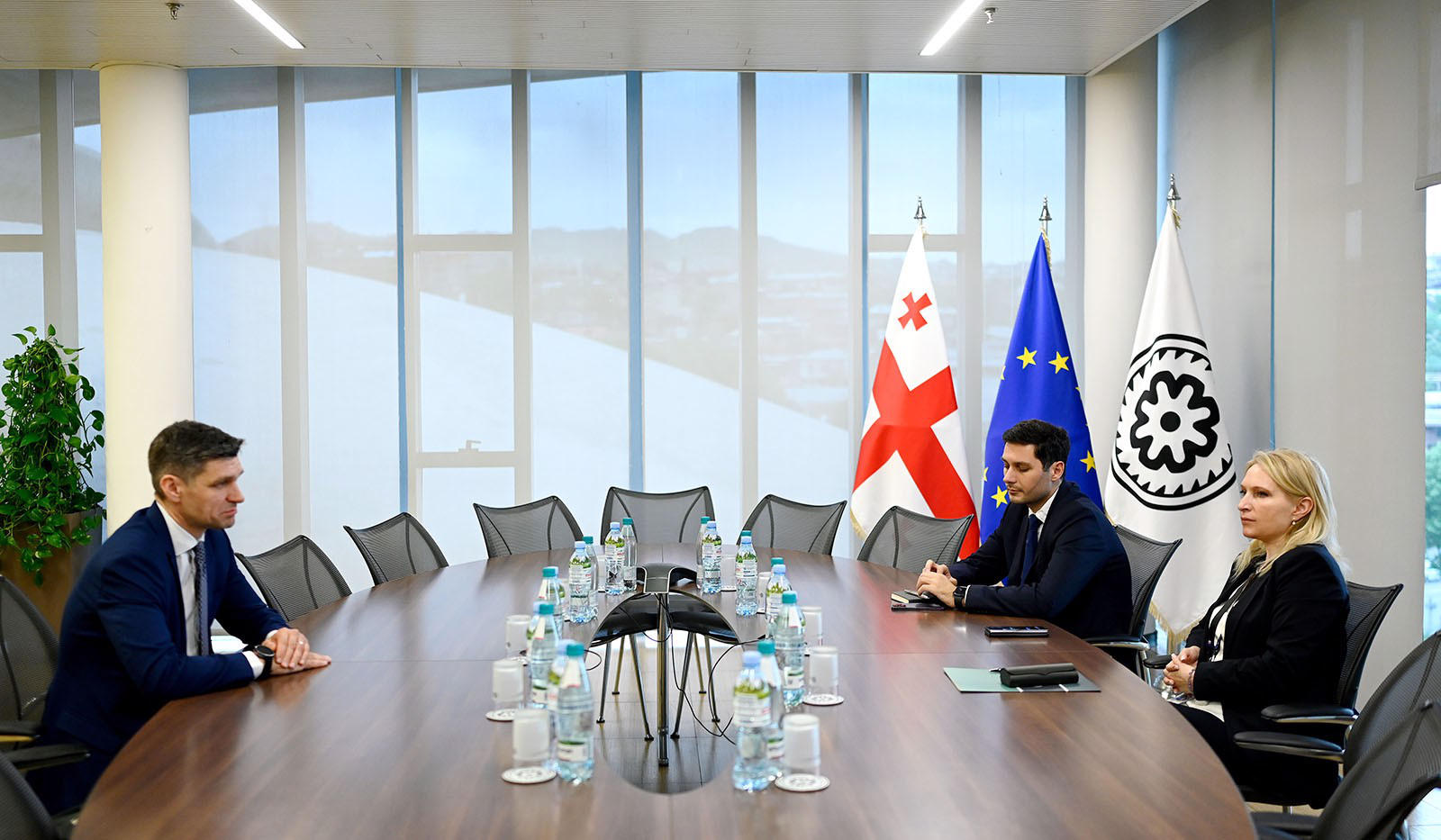 ნათია თურნავა ლიეტუვის ცენტრალური ბანკის საბჭოს წევრს სიმონას კრეპშტას შეხვდა