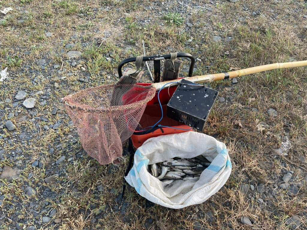 გარემოსდაცვითი ზედამხედველობის დეპარტამენტის თანამშრომლებმა კახეთში უკანონო თევზჭერის სამი ფაქტი გამოავლინეს