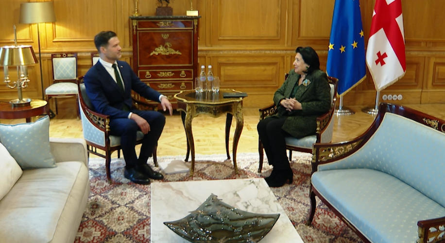 სალომე ზურაბიშვილი შვედეთის საერთაშორისო განვითარების თანამშრომლობის და საგარეო ვაჭრობის მინისტრს შეხვდა