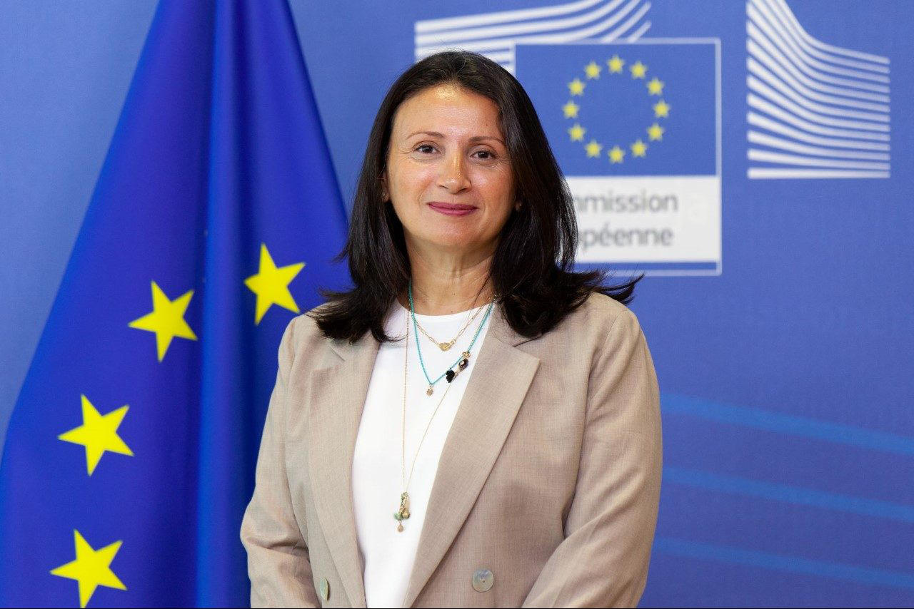 ევროკავშირის პრესსპიკერი - დაშინება, მუქარა და ფიზიკური შეურაცხყოფა სამოქალაქო აქტივისტების, პოლიტიკოსებისა და ჟურნალისტების მიმართ მიუღებელია