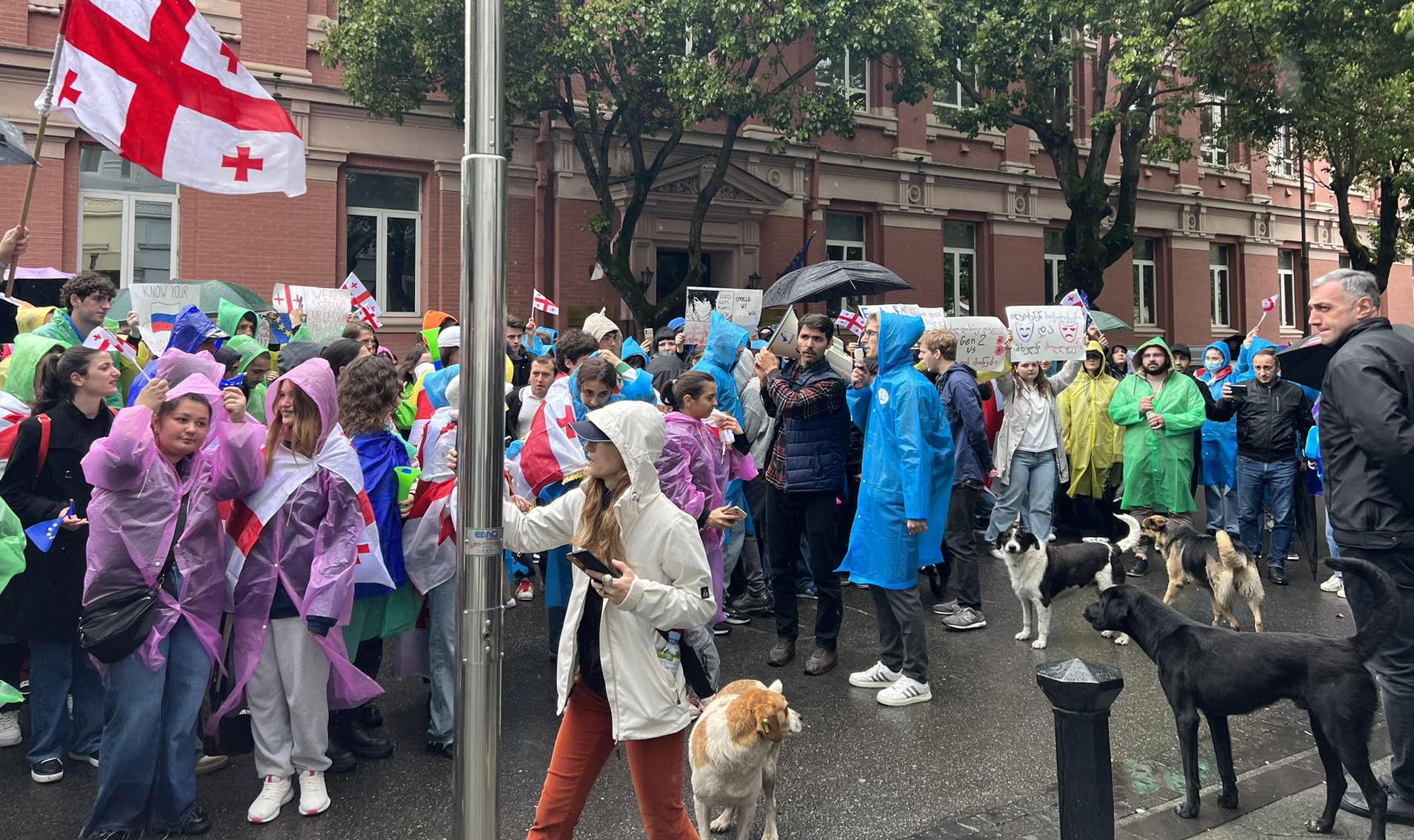 აჭარის მთავრობის სახლთან სტუდენტები და სკოლის მოსწავლეები შეიკრიბნენ