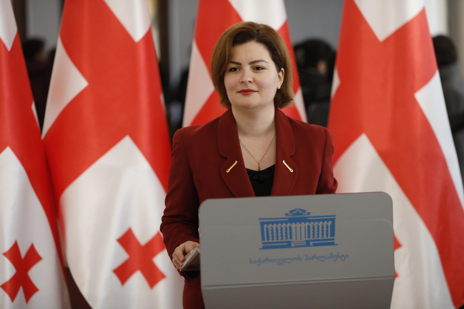 ანა ნაცვლიშვილი „უცხოური გავლენის გამჭვირვალობის შესახებ“ პროექტზე ევროსაბჭოს წიაღში არსებული, საერთაშორისო ექსპერტების მიერ მომზადებულ დასკვნას აქვეყნებს, რომელიც მისივე განმარტებით, „უმძიმეს შეფასებებს“ მოიცავს