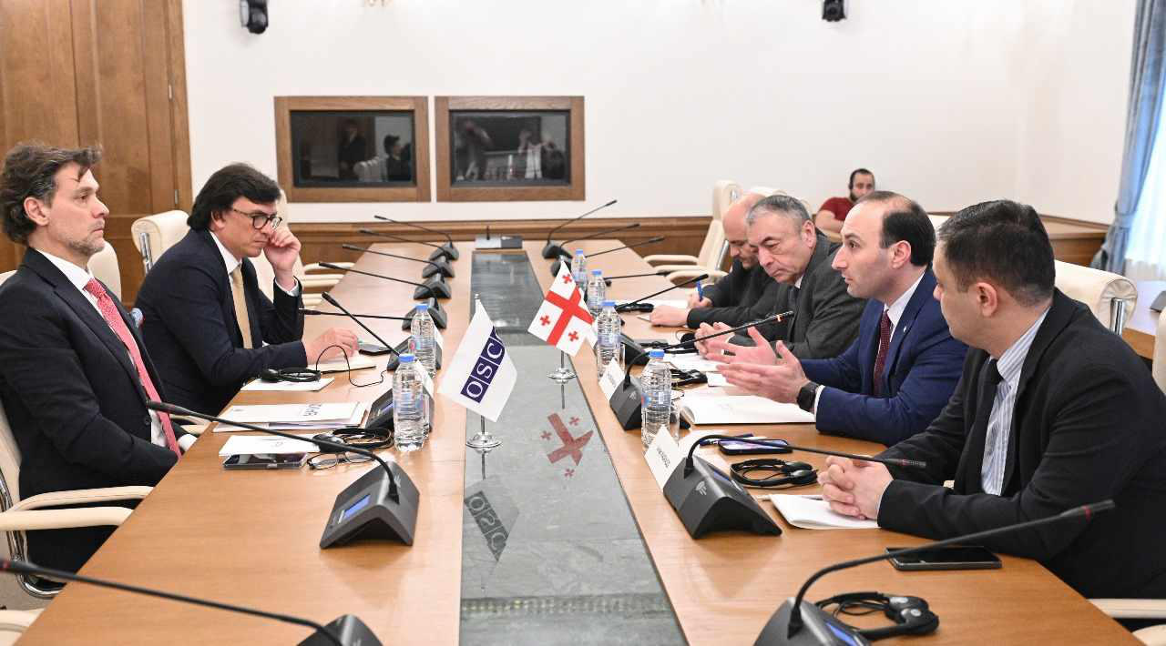 ანრი ოხანაშვილი და თენგიზ შარმანაშვილი  ეუთო-ს დემოკრატიული ინსტიტუტებისა და ადამიანის უფლებების ოფისის (ODIHR) დირექტორს შეხვდნენ