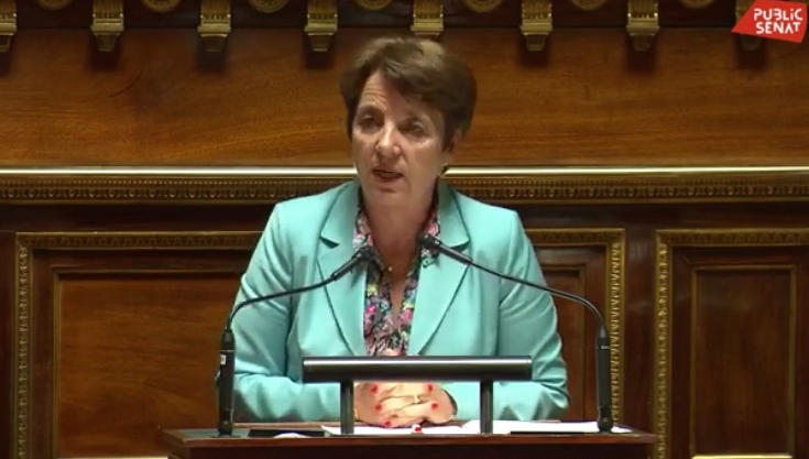 სენატმა მიიღო კანონპროექტი, რომლის მიზანი საფრანგეთში უცხოური ჩარევის, მათ შორის რუსეთისა და ჩინეთის ჩარევის აღკვეთაა