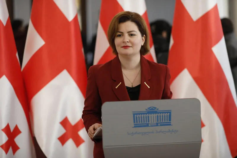 ანა ნაცვლიშვილმა  "ევოლუშენ ჯორჯიას" თანამშრომლების გაფიცვასთან დაკავშირებით შესაბამის სახელმწიფო უწყებებს მიმართა და მათგან რეაგირება ითხოვა