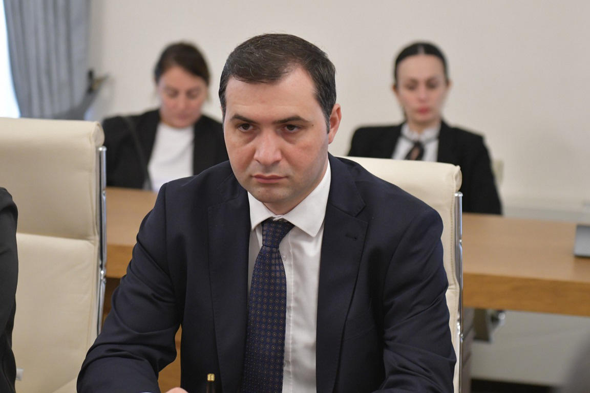 ადამიანის უფლებათა დაცვისა და სამოქალაქო ინტეგრაციის კომიტეტმა შრომის ინსპექციის სამსახურის მთავარი შრომის ინსპექტორის 2023 წლის ანგარიშის შესახებ იმსჯელა
