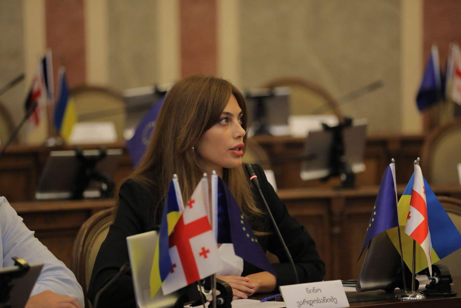 ნინო ვარდოსანიძე - როცა ძირი ეთხრებოდა საქართველოში დემოკრატიას, ირღვეოდა ადამიანის უფლებები, ყალბდებოდა არჩევნები და არ არსებობდა ობიექტური მედია, მაშინ არ გვახსოვს სანქციებზე საუბარი და ხალხის ნების გათვალისწინება