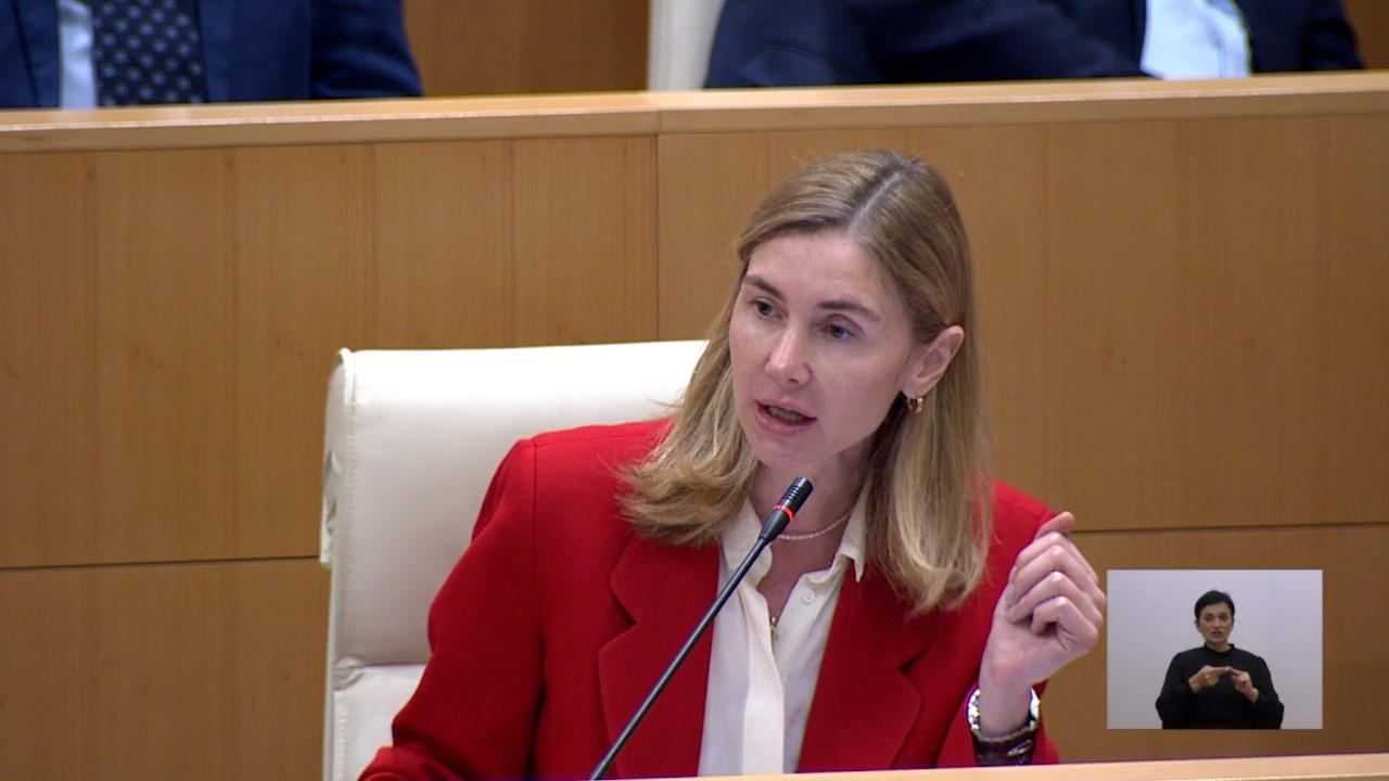 თინა ბოკუჩავა მსხილაძეს - ბატონო გიორგი, მართალია უნიჭო პიონერი, ქვეყნის მოღალატე ნინო წილოსანი უშვერი სიტყვებით გლანძღავთ, კამალა ჰარისი პრეზიდენტს მადლობას უხდის, რომ ვეტო გამოიყენა და ქვეყნის დემოკრატიას ერთგულად იცავს