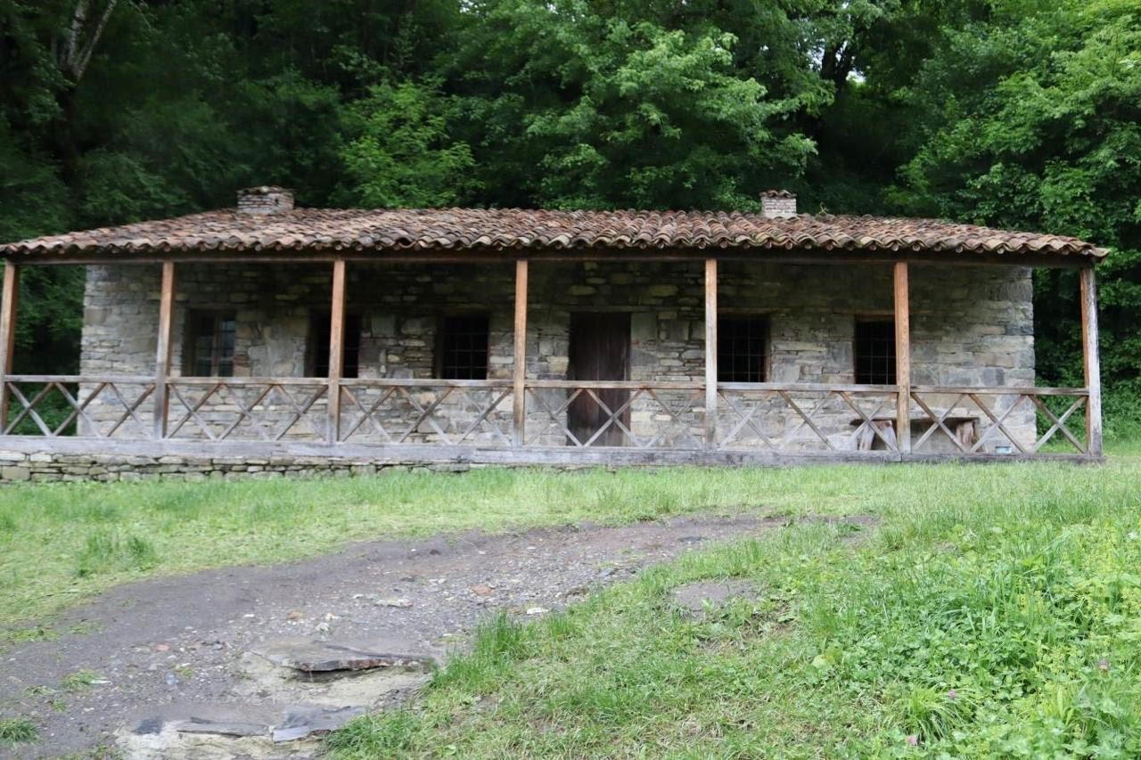 კულტურული მემკვიდრეობის დაცვის ეროვნული სააგენტო - მეწყრული პროცესების მიუხედავად, ვაჟა-ფშაველას სახლ-მუზეუმს საფრთხე არ ემუქრება