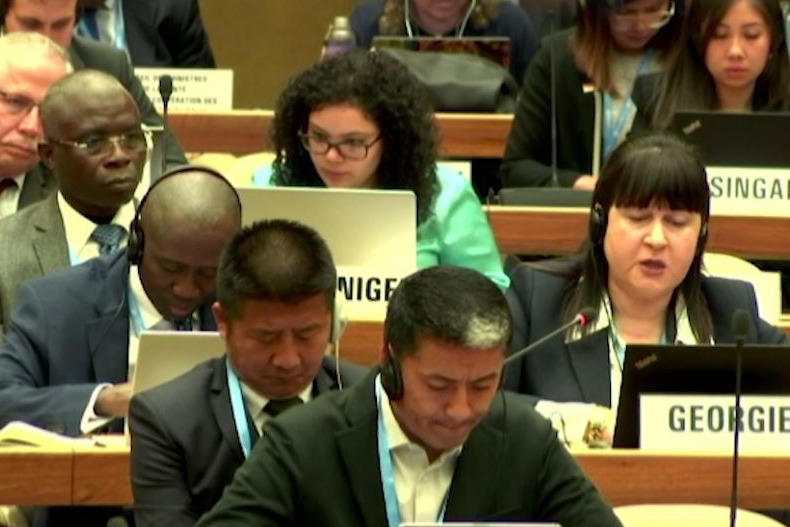 ჯანდაცვის მინისტრის მოადგილე თამარ გაბუნიამ ჯანმრთელობის მსოფლიო ასამბლეაში მიიღო მონაწილეობა