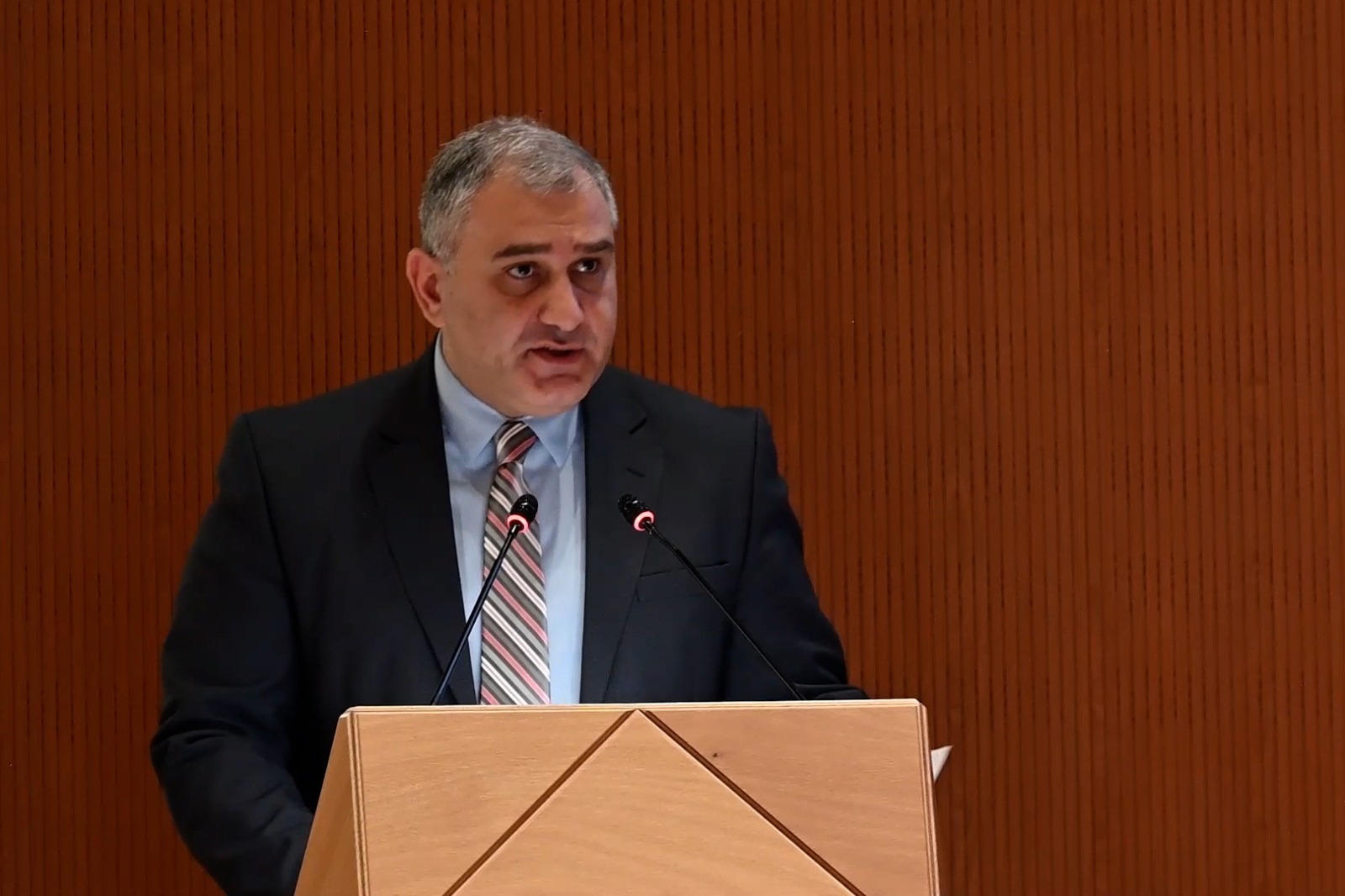 ჯანდაცვის მინისტრი ჟენევაში, ჯანმრთელობის მსოფლიო ასამბლეის 77-ე სესიაზე სიტყვით გამოვიდა