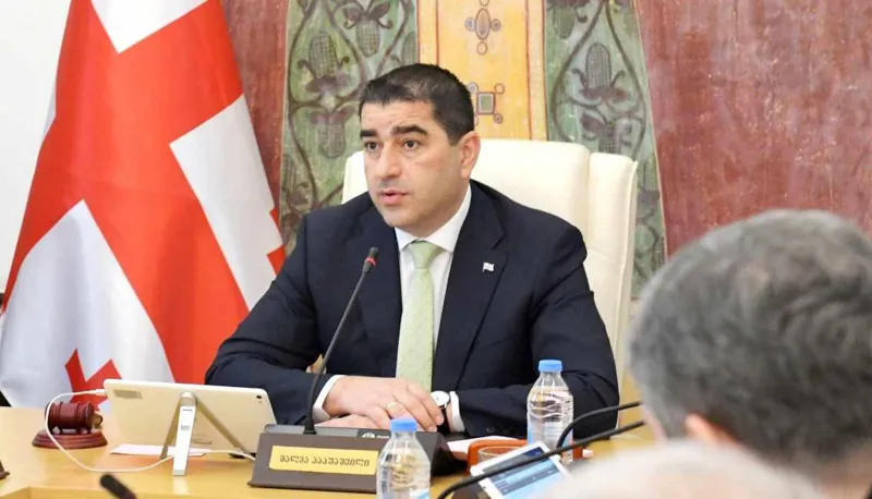 Shalva Papuashvili on Elina Valtonen’s visit to the occupation line: what value does a statement supporting sovereignty in Odzisi have when you violate sovereignty on Rustaveli Avenue?