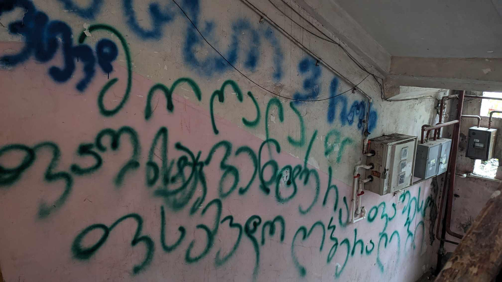 ბათუმში, არასამთავრობო ორგანიზაცია „მწვანე სექტორის“ წევრების საცხოვრებელ სახლზე გვიან ღამით, მუქარის შემცველი წარწერები კიდევ დატოვეს