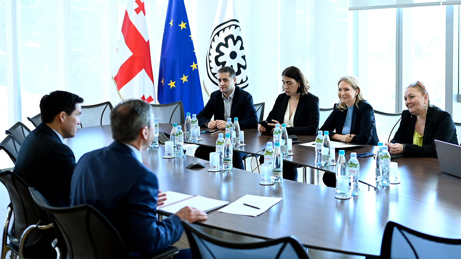 ნათია თურნავა სსფ-ის მისიის ახალ ხელმძღვანელს ალეხანდრო ჰაჟდენბერგს შეხვდა