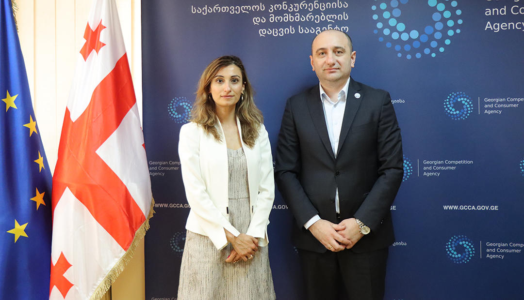 ირაკლი ლექვინაძე ნიდერლანდების სამეფოს ელჩს საქართველოში მელინე არაკელიანს შეხვდა