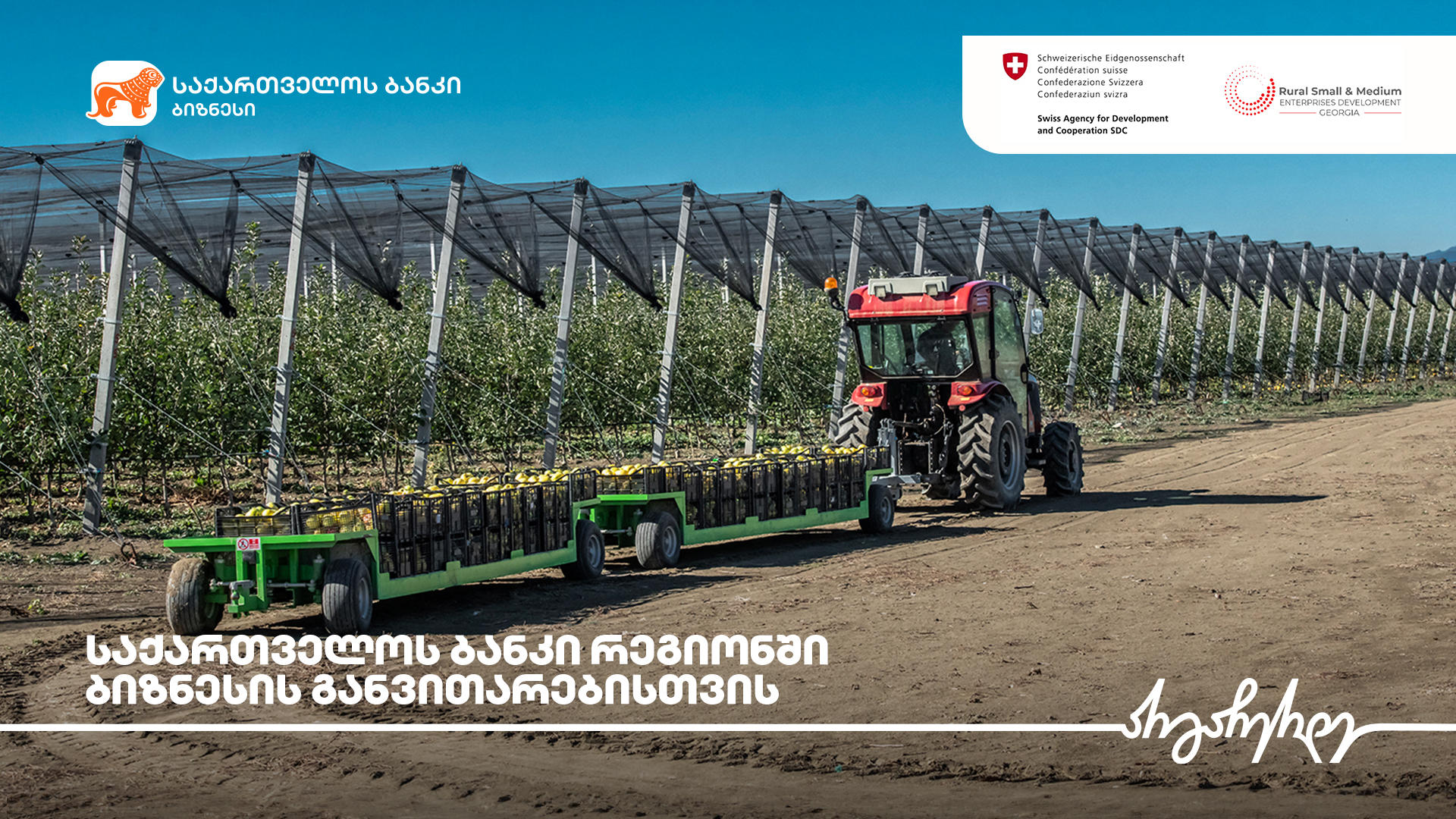 „საქართველოს ბანკი“ და RSMED პროექტი რეგიონებში ბიზნესის განვითარების პროგრამას ახორციელებენ