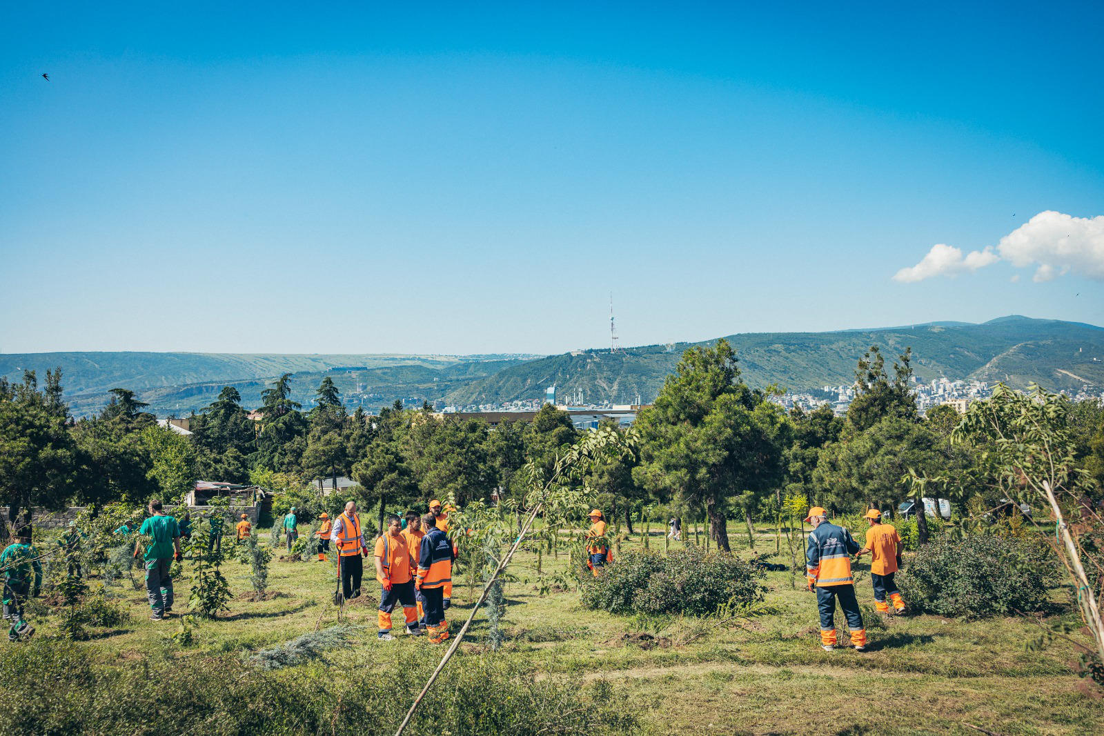 ხუდადოვის ტყეში გამწვანებისა და დასუფთავების სამუშაოები ჩატარდა